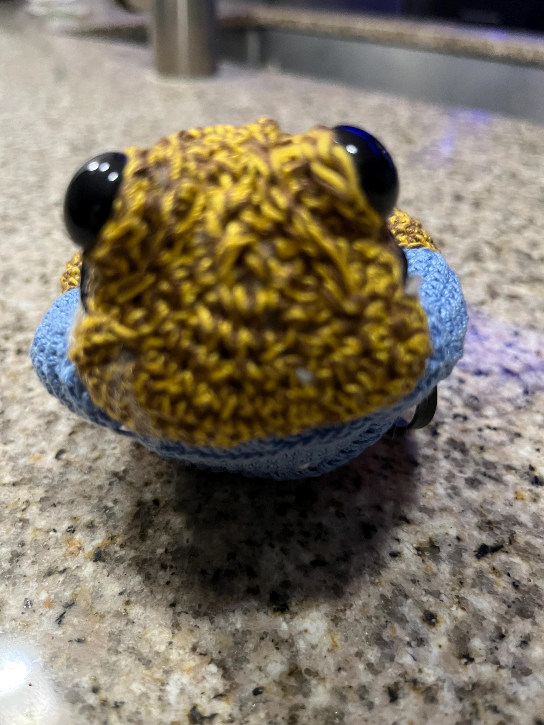 Sapo Concho - Etsy