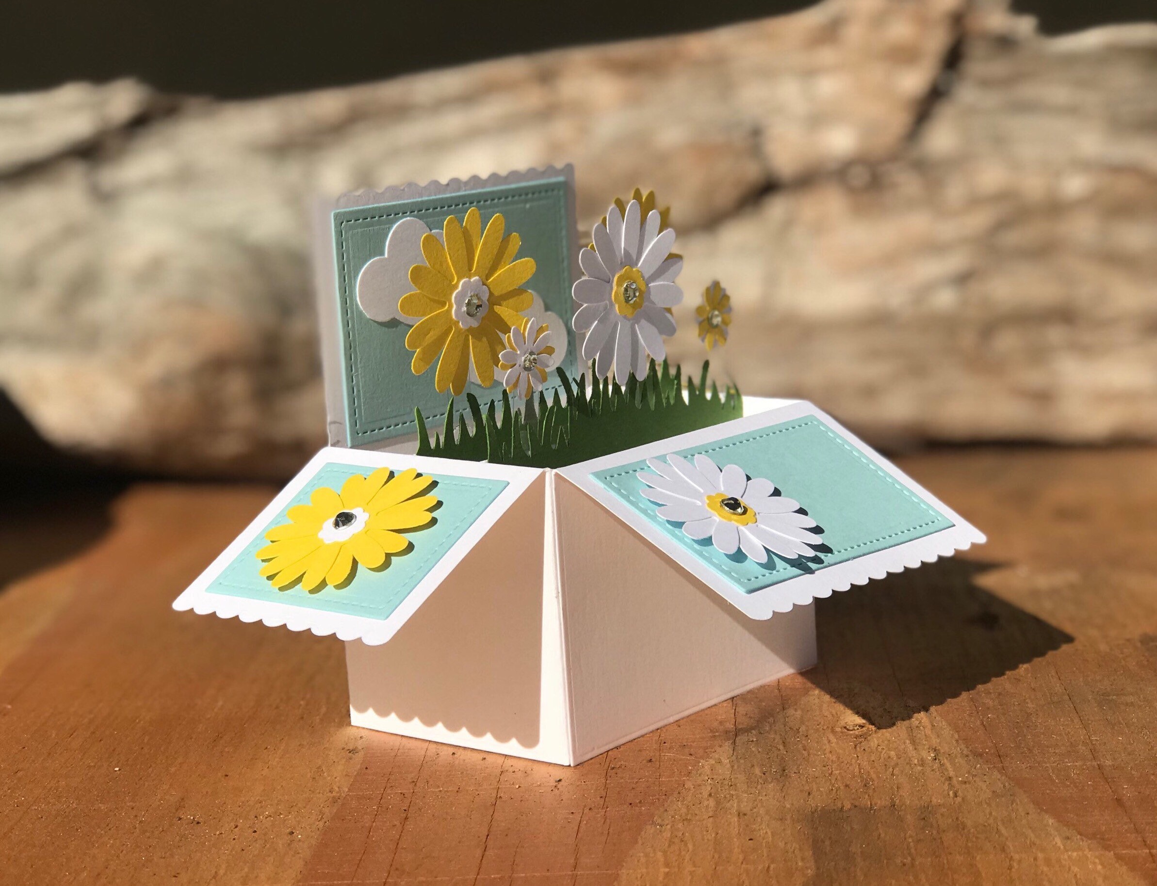 Daisy Pop up Box Card: Customizable Birthday Card - Etsy