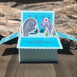 Manatee card in a box, manatee pop up card box, birthday card, card pop up , manatee pop up card, sea life card, manatee card