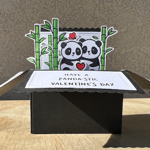 Pandakaart in een doos, Panda pop-upkaartdoos, verjaardagskaart, pop-upkaart, Panda-pop-upkaart, pandakaart, panda-pop-upkaart