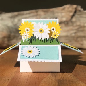 madeliefjekaart in een doos, pop-upkaartdoos, bloemenkaart, madeliefje pop-upkaart, pop-upkaart, gefeliciteerd, pop-updooskaarten, kaart pop-up