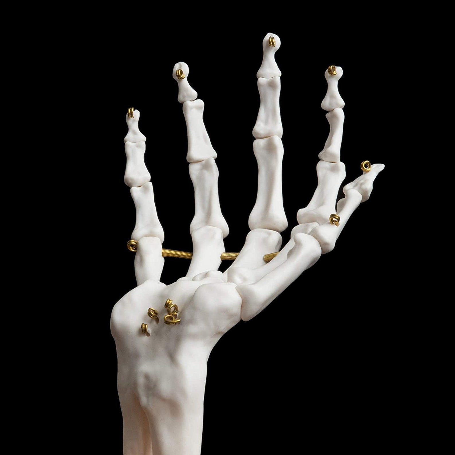 Skeleton Hand Ring Holder & Dresser Organizer Holder Jewelry Etsy