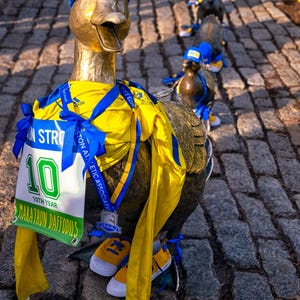 Boston Strong Ducklings