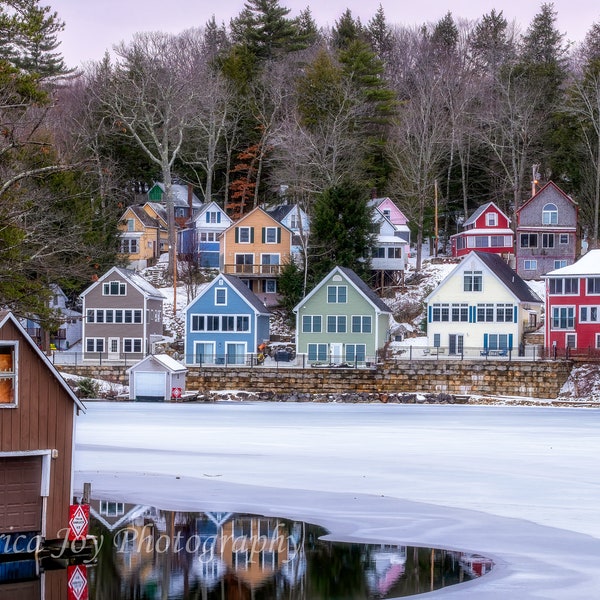 Alton Painted Ladies