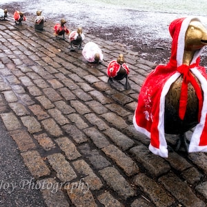Make Way for Ducklings