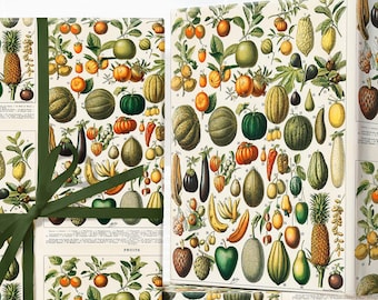 Papier d'emballage d'illustrations de fruits ; Illustration vintage de fruits français ; Illustration de houx : rouleau de papier cadeau de Noël