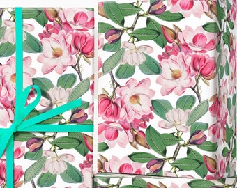 Blooming Magnolia Flowers; Pink Magnolia Wrapping Paper; Christmas Wrapping Paper; Vintage Flower; Botanical Floral Illustration: Plant Life