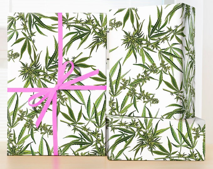 Cannabis Leaf Wrapping Paper Botanical Cannabis Illustration | Etsy