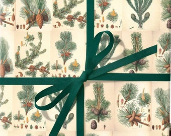 Botanical Pine Cone Wrapping Paper Roll; Christmas Wrapping Paper; Holiday Theme Gift Wrap; Vintage Theme Pine Tree,  Pine Branch Pattern