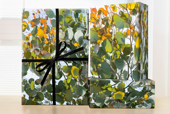 Eucalyptus Leafs Wrapping Paper Roll; Tree Wrapping Paper; Nature Gift Wrap; Eucalyptus Decoration, Eucalyptus Tree, Housewarming Gifting