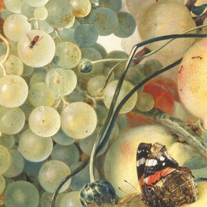 May include: A still life painting featuring a cluster of green grapes, a peach, and a butterfly with red, white, and black wings. The grapes are arranged in a bunch, and the peach is partially visible in the background. The butterfly is perched on a leaf, with its wings spread open.