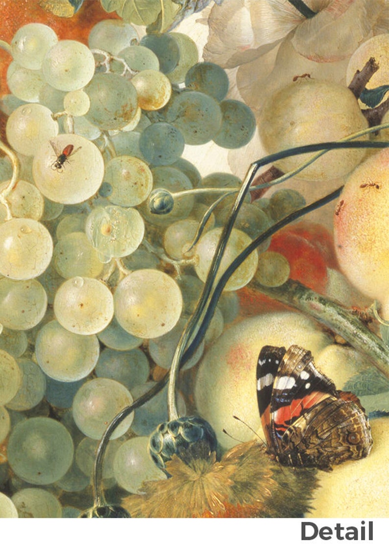 May include: A still life painting featuring a cluster of green grapes, a peach, and a butterfly with red, white, and black wings. The grapes are arranged in a bunch, and the peach is partially visible in the background. The butterfly is perched on a leaf, with its wings spread open.