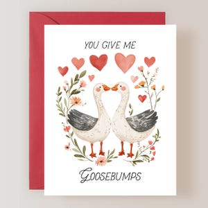 Love Pun Card, Goose Valentines Day Card, Anniversary Card - (FPSVD0013)
