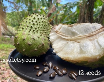 Soursop Seeds Organic From Our Farm Guanabana Graviola