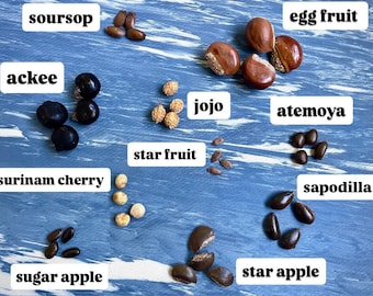 Variety Pack! Atemoya, Sapodilla, Sugar Apple, Soursop, Star Apple, Canistel, Surinam, Jojo, Ackee Seed Sample Starter Pack Mixed Seeds