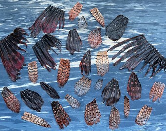 Real Lionfish Fins 25+ Fins Pterois volitans Red Lion Fish Heart