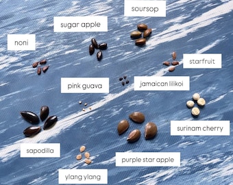 Variety Pack! Guava, Ylang, Starfruit,  Noni, Jamaican Lilikoi, Sapodilla, Sugar Apple, Soursop, Star Apple, Surinam Sample Pack