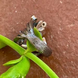 May include: A silver ring featuring a textured tree design. The ring is resting on a green plant stem.