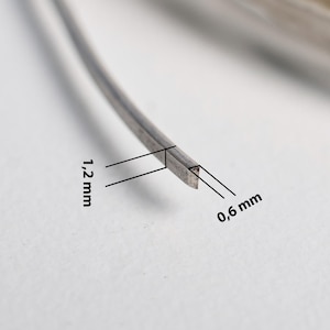 May include: A close-up of a thin, rectangular metal strip. The strip is 0.6 mm wide and 1.2 mm thick. The metal has a slightly curved shape and appears silver. The background is a soft, neutral tone.