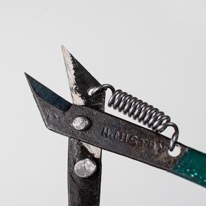 Pinza da taglio con molla grande, forbici in acciaio inox