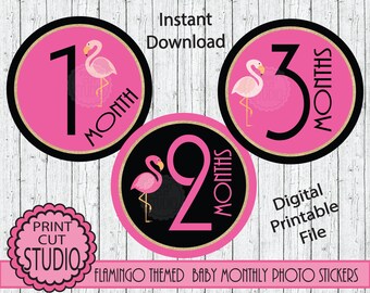 Pegatinas fotográficas mensuales de flamenco rosa (PDF imprimible)