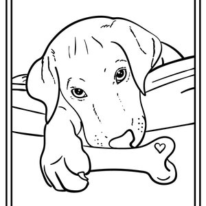custom pet coloring page dog coloring page cat colouring