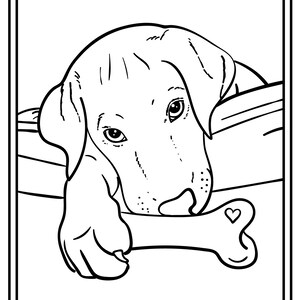 custom pet coloring page dog coloring page cat colouring