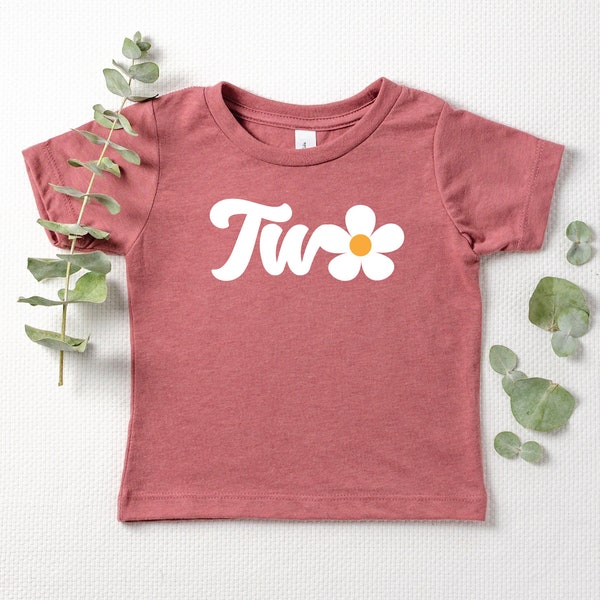 Daisy Birthday Shirt / Girls Two Birthday / 2nd Birthday Shirt / Two Year Old Birthday / Girl Birthday /  Daisy Birthday Tee / Daisy Two Tee