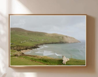 Halbinsel Dingle Poster: Vintage irische Schaflandschaft Wandkunst