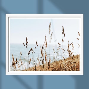 Golden Coastal Grass Print – California PCH Ocean Landscape Photography, Blue Sky & Sea Wall Art