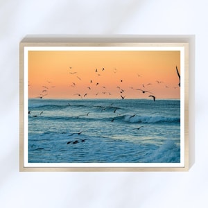 Uccelli in volo al tramonto – Jalama Beach, Santa Barbara Stampa fotografica artistica – Disponibili più formati
