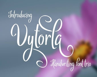 Vytorla font trio, handwritten font, hand lettered typeface, Commercial use, TTF, OTF, Instant Download