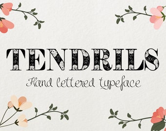Lettertype Ranks: handgetekende lettertype (TTF, OTF) - commerciële licentie