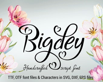 Bigdey font, ttf, otf, svg, dxf, eps, handwritten font, hand lettered typeface, Commercial use, Copyright protected font