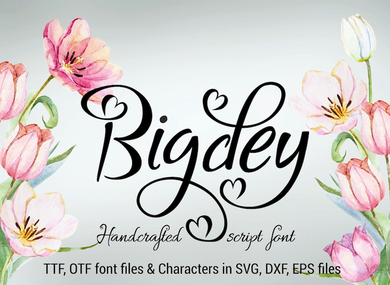 Bigdey font ttf otf svg dxf eps handwritten font hand image 1