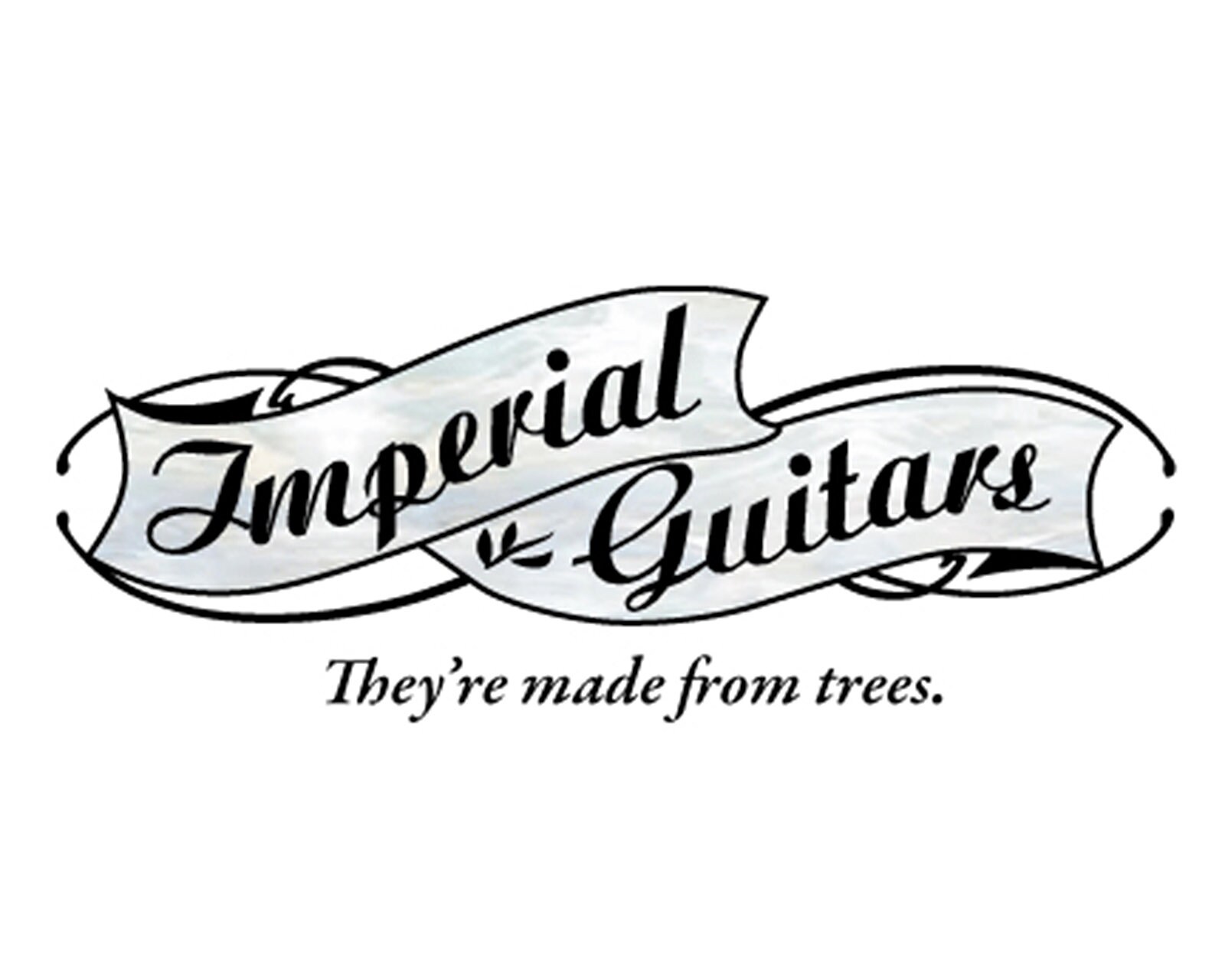 Blackstone Guitar Slide From Imperial Valley Guitar Co. Etsy
