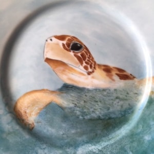 Two plates to choose from. One lighthouse on a 10 1/2 inch plate and a sea turtle on an 11 inch plate.