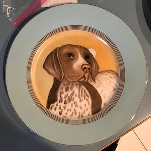 Op de afbeelding: Een decoratief keramiek bord met een lichtblauwe rand en een geel centrum. Het bord heeft een gedetailleerde afbeelding van een bruin-witte Duitse Korthaar hond met een zwarte neus en bruine ogen. De hond kijkt naar rechts in de afbeelding. Het bord is gesigneerd met "W.G.C."