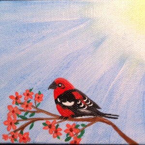 Hand painted White winged crossbill bird (mini) canvas
