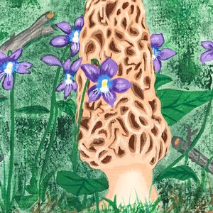 Hand painted canvas with a big Morel mushroom and violets