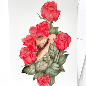 Cartes postales 5 x 7 de Stetson et roses de la GRC | Oeuvre d'art à encadrer (cadre non inclus)