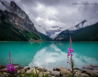 May include: A turquoise lake surrounded by mountains with a cloudy sky.  Two pink flowers are in the foreground.