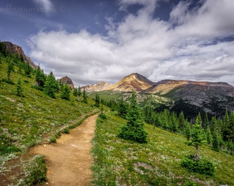 Hiking in the Rockies Fine Art Photo Print