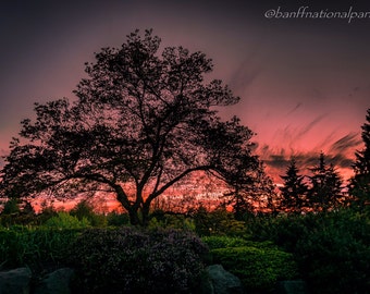 Atardecer arte fotografía impresión