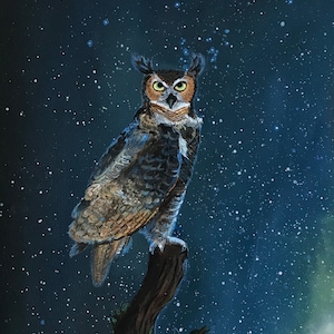 Great horned owl painting,bird painting,owl painting,starry night painting,owl art,bird art,owl acrylic painting, painting of owl,bird art