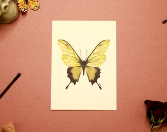 Illustrated Butterfly Giclee Print, Archival Matte Paper