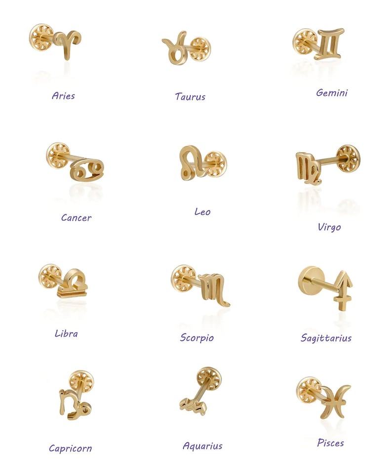 14K Solid Gold Zodiac Sign Piercing, Minimalist Tragus Piercing, Gold Stud Piercing, Stud Ear Piercing, Horoscope Stud Piercings 