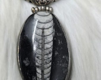 Large Orthoceras Fossil Pendant Sterling Silver Filigree