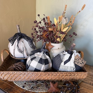 May include: Three fabric pumpkins in a woven tray. One is cream with black lace, one is black and white buffalo check, and one is black and white plaid with a tag. A ceramic vase holds dried berries and foliage, with metal stars as accents.
