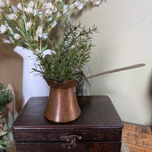 May include: A copper Turkish coffee pot with a long, flat handle, filled with a sprig of green rosemary. The pot has a wide, tapered base and a slightly flared rim, showing a metallic finish with subtle signs of wear and natural patina.